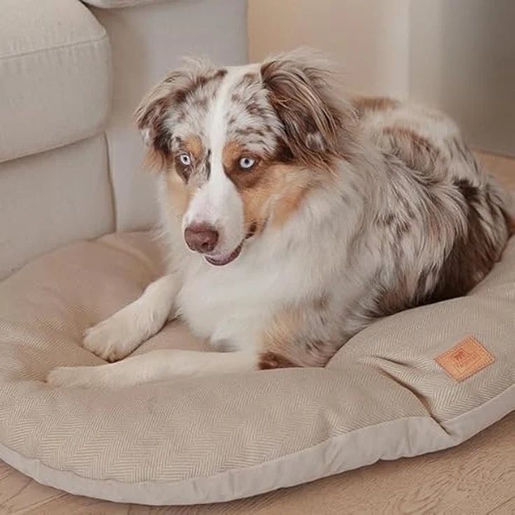 Ferplast Hundebett Hundekissen Katzenkissen Hundesofa für mittelgroße Hunde, 85 x 55 x 15 cm Waschbar, Braun – Bild 2