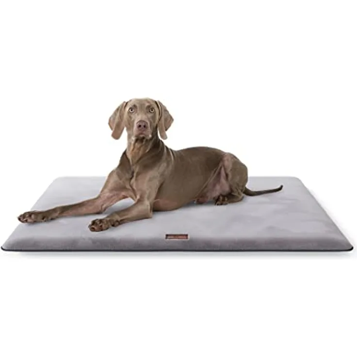 Knuffelwuff Kuschelige Hundematte Sunport aus weichem Fellimitat 100x70cm - Hundekissen für große, mittelgroße und kleine Hunde - Für Zuhause, Auto, Wohnmobil, Wohnwagen