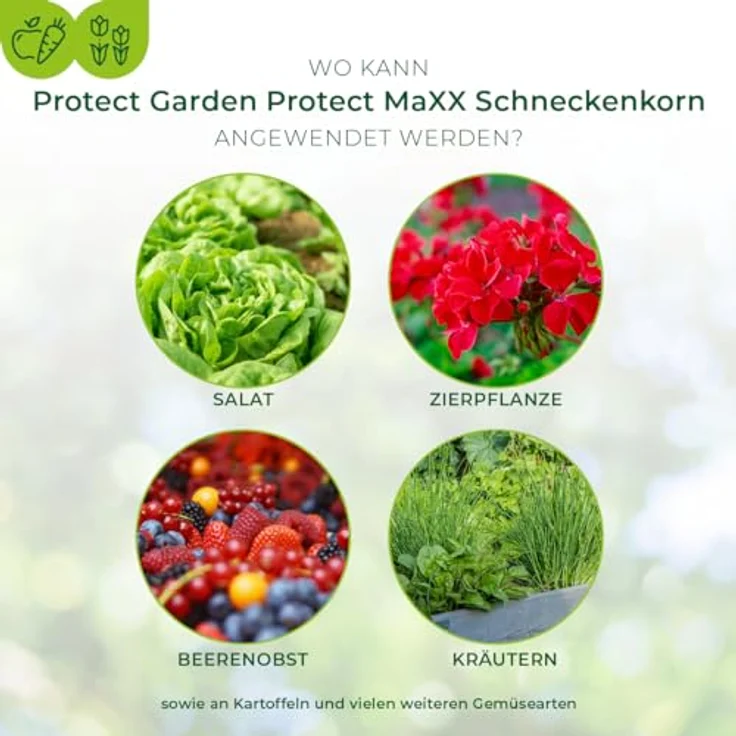 Bayer SchneckenkornProtectMaXX 1 kg – Bild 3