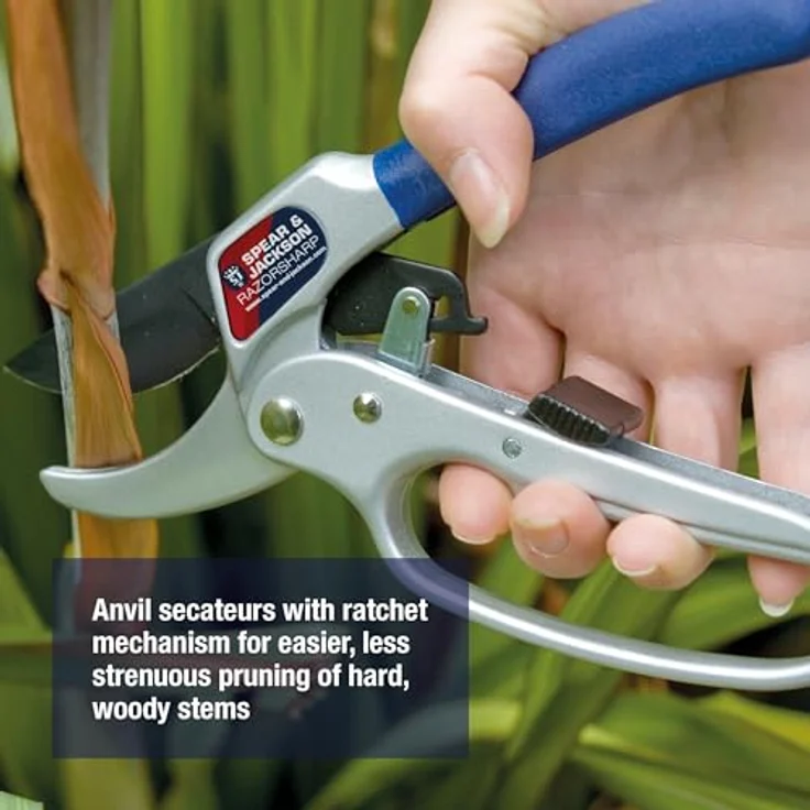 Spear und Jackson Razorsharp Advance Ratschen-Gartenschere - Amboss-Gartenschere mittelgroß – Bild 4