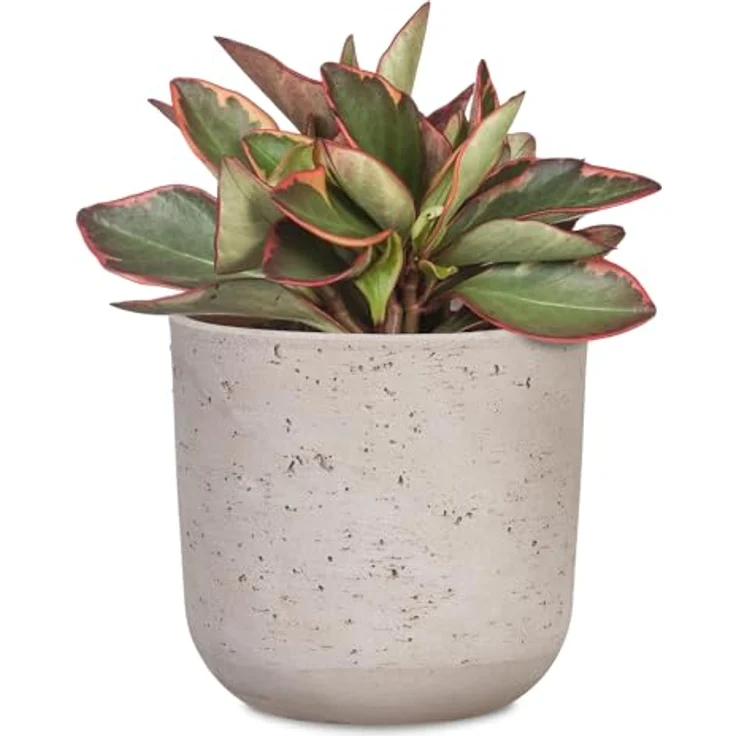 Scheurich La Natura, Blumentopf aus Keramik, Basalto, 17,6 cm Durchmesser, 16 cm hoch, 3,1 l Volumen, nachhaltig produziert mit 22 % Recyclinganteil – Bild 2