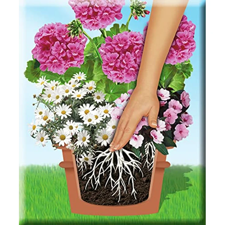 COMPO SANA® Kübelpflanzen- und Balkonkastenerde mit 8 Wochen Startdüngung 60L, Spezialerde für Kübelpflanzen & Balkonkästen – Bild 4