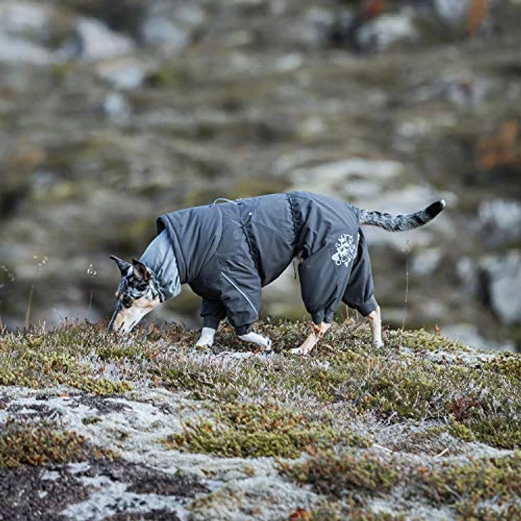 Extreme Overall Winterjacke für Hund (BlackBerry, 25S) – Bild 4