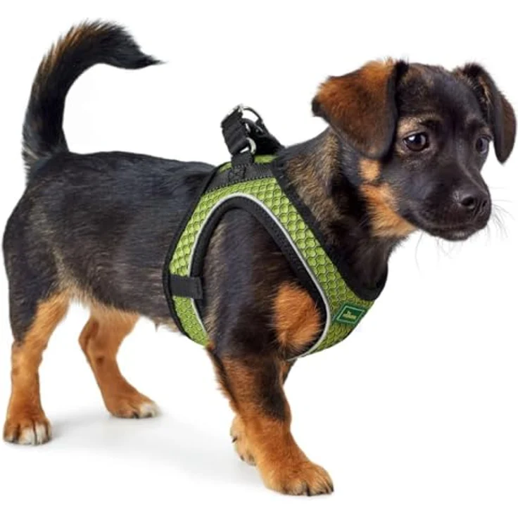 Hunter Hunde-Geschirr Hilo Comfort limette XS – Bild 4