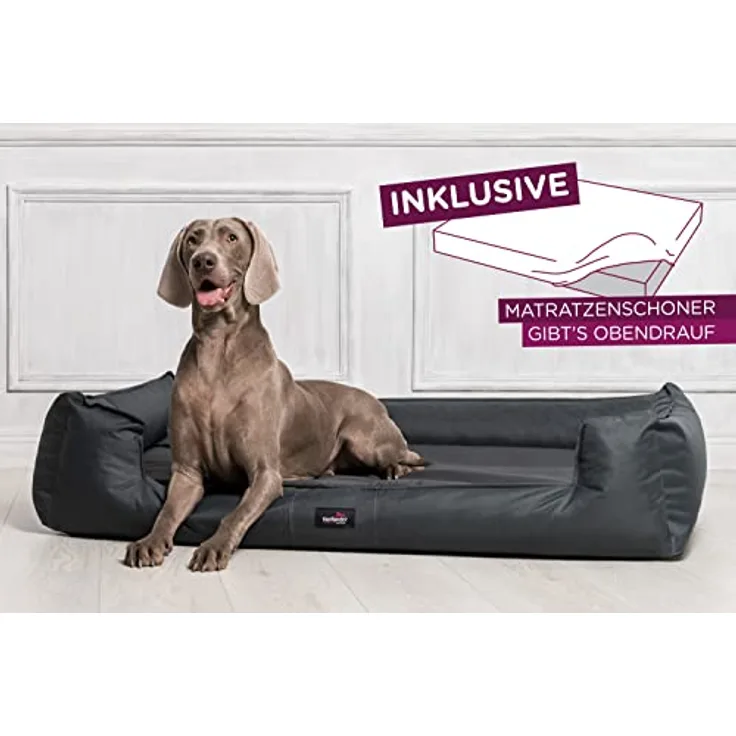 tierlando® Orthopädisches Hundebett Goofy Polyester | ~ inkl. Matratzenschoner ~ (G3 | 90 x 75 cm, 02 | Graphit) - Preisvergleich