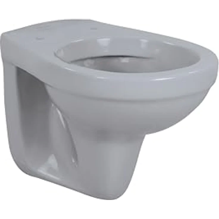 sanicomfort Wand-WC Manhattan, spülrandloser Tiefspüler in anthrazit, hygienische Sanitärkeramik, wandhängend – Bild 1