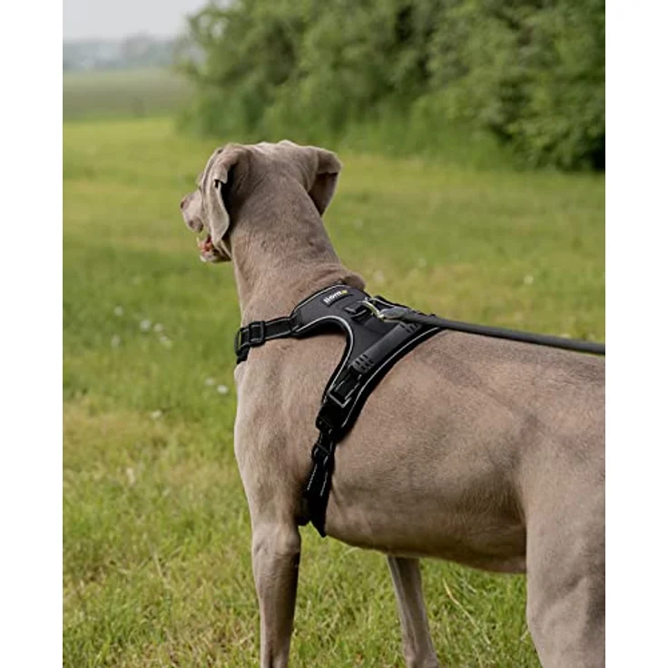 lionto Hundegeschirr gepolstert aus weichem Nylon, Größe L, reflektierendes Anti Zug Geschirr für Hunde mit 2 Ringen & 4 Einstellgurten, Zwei Klickverschlüsse & gummierter Griff am Rücken, schwarz – Bild 3