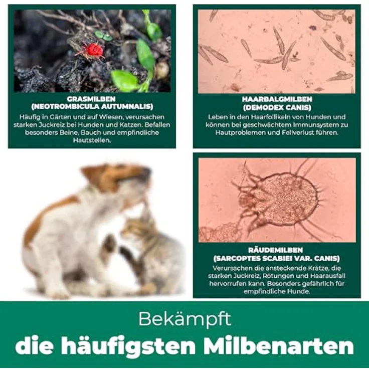 Silberkraft Grasmilben-Ex Spray für Hunde, 500 ml, effektive Linderung bei Juckreiz - gegen Milben, Parasiten, Ungeziefer – Bild 4