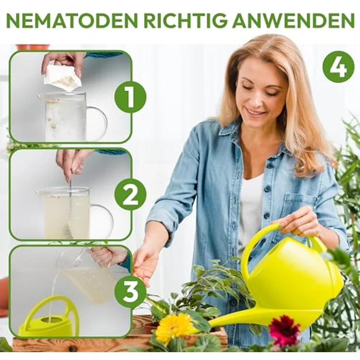 Samenshop24 SF Nematoden zur Bekämpfung von Trauermücken 3 Mio – Bild 3