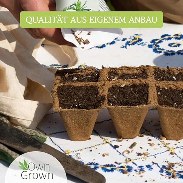 Gemüse Samen Set 12 Sorten Gemüse Saatgut Gemüse Anbauen Im Garten Oder Hochbeet – Bild 6