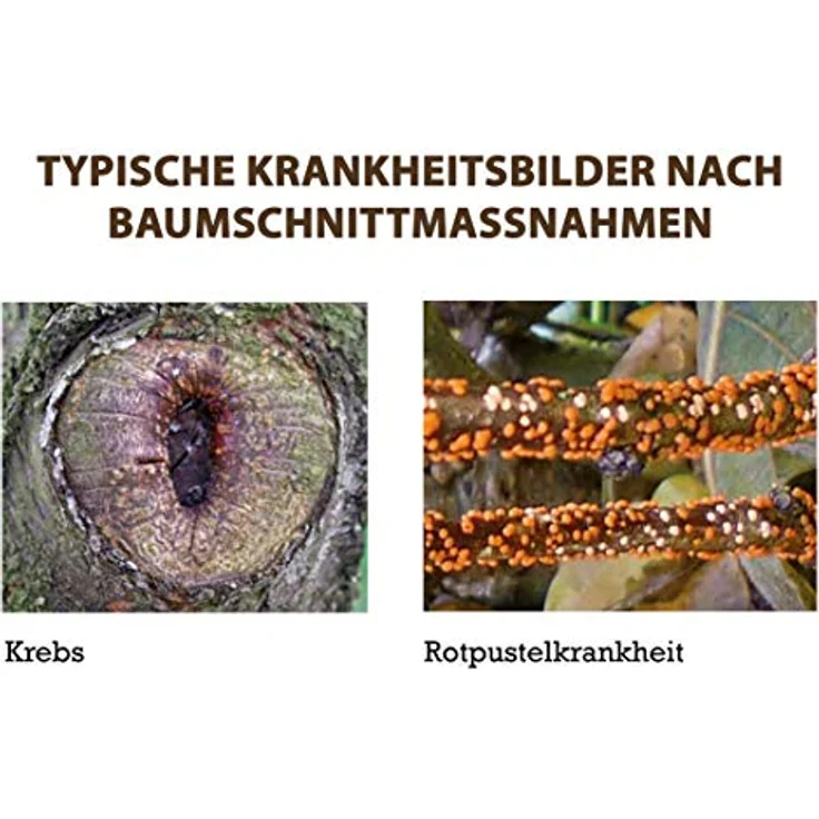 Substral Naturen Bio Wundbalsam, Wundverschlussmittel , das elastische Baumpflaster nach dem Baumschnitt, 150 g – Bild 4
