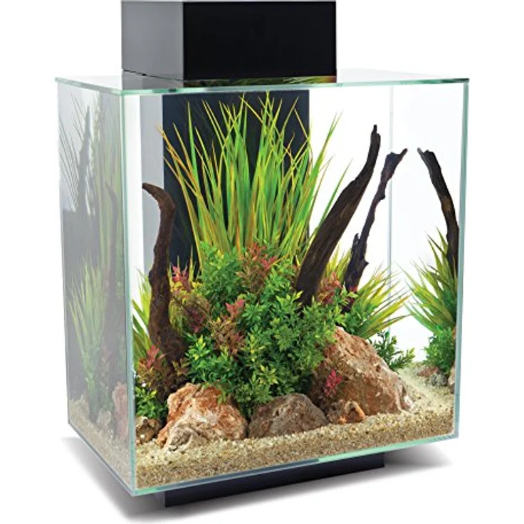 Fluval Edge 2.0 Aquarium, 46L, schwarz, 1 Stück (1er Pack) – Bild 1