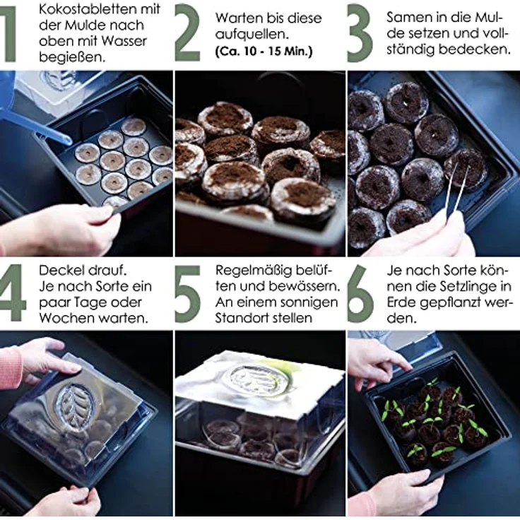 HappySeed Gewächshaus Set mit 60 Kokostabs - Ideale Wachstumsbedingungen, optimale Wasserverteilung & Feuchtigkeitsregulierung, für Kräuter, Gemüse & Blumen, dekorative Lüftungsklappe, in Deutschland hergestellt – Bild 5