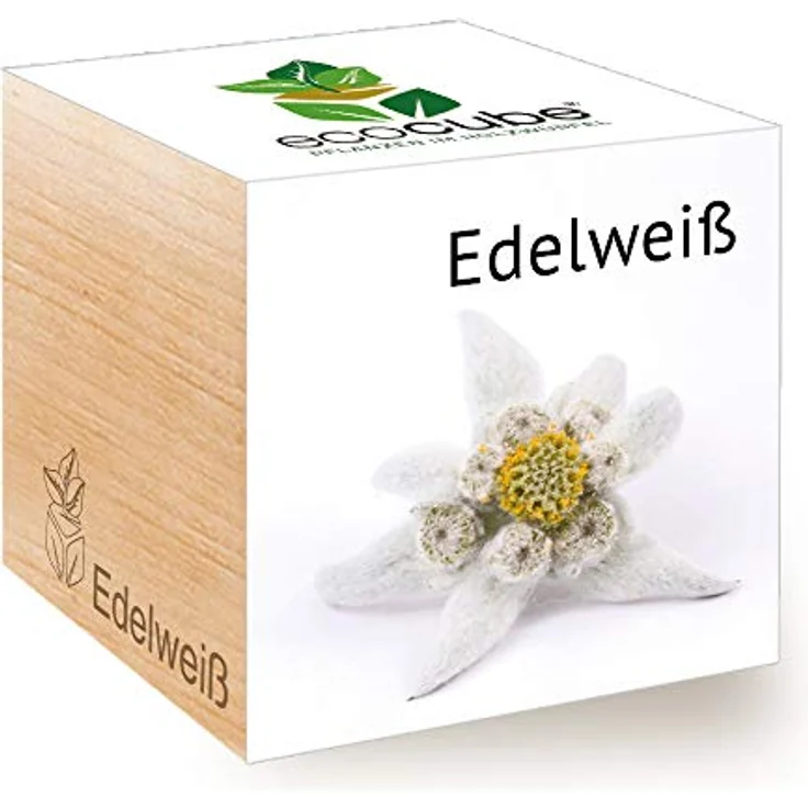 Feel Green Ecocube Edelweiß, Anzuchtset im Holzwürfel, 100% Eco Friendly, Made in Austria – Bild 1