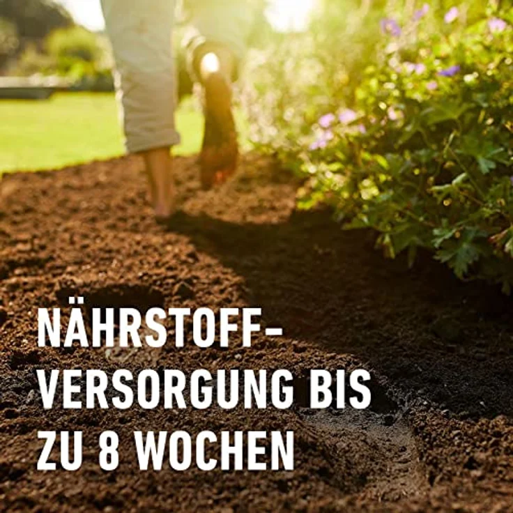 COMPO Sana Rhododendronerde 50 Liter – Bild 7