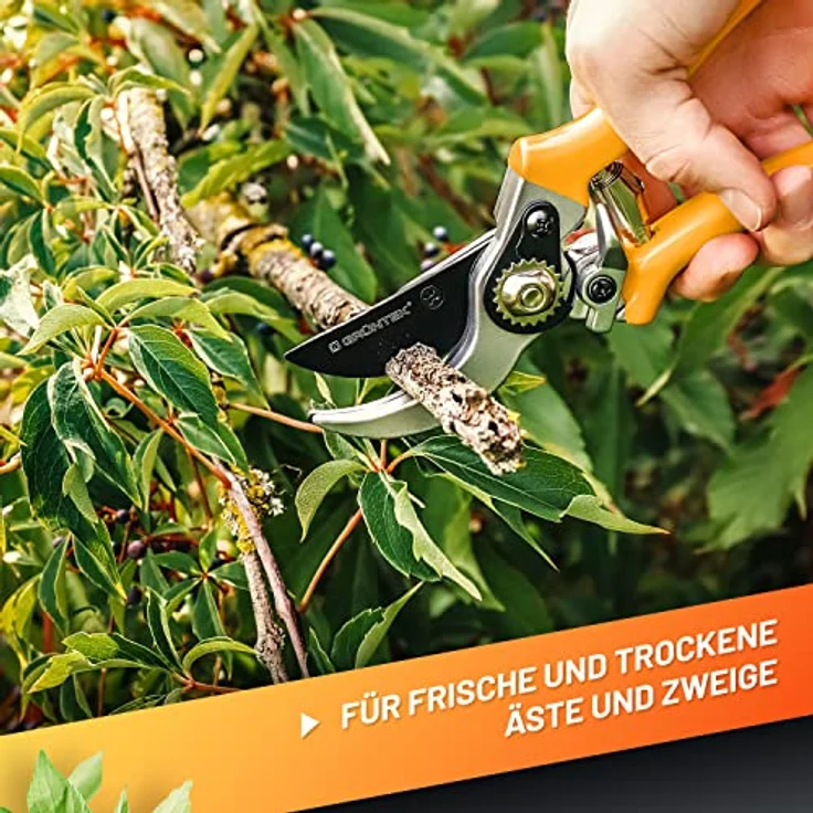 GRÜNTEK SPECHT Garten-Schere, Bypass-Rebschere mit SK5 Stahl-Klinge, Antihaftbeschichtung, ergonomischem, rutschfestem Griff, 215mm, für Rosen, Blumen, Obst & Zweige – Bild 3