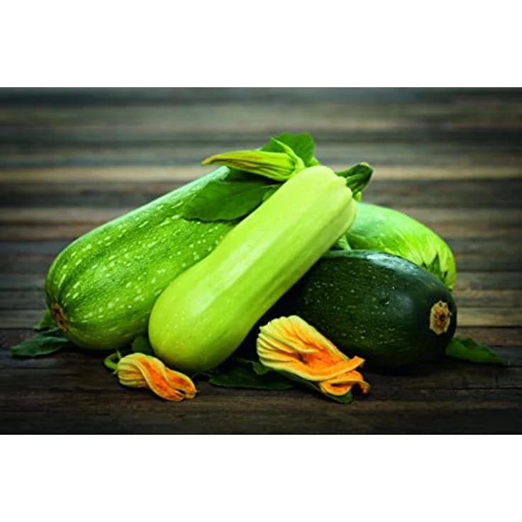 Bayer Gemüse-Pilzfrei Infinito 50 ml – Bild 5