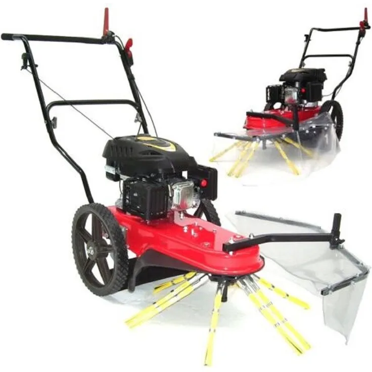 Apex Benzin-Kehrmaschine Radialbesen 700, 7 PS Wildkrautbürste mit höhenverstellbarem Bürstenkopf und 350 mm Hinterrädern