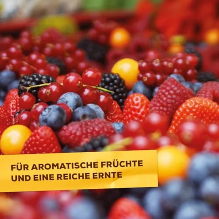 Solabiol Beeren- & Obstdünger, Spezialdünger mit Sofort- und Langzeitwirkung für Obstpflanzen, 1,5 kg – Bild 3