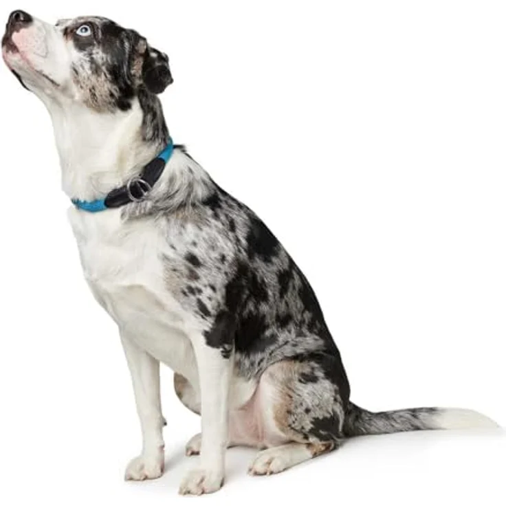 Dressurhalsung Freestyle 55 / 10, rot, – Bild 4