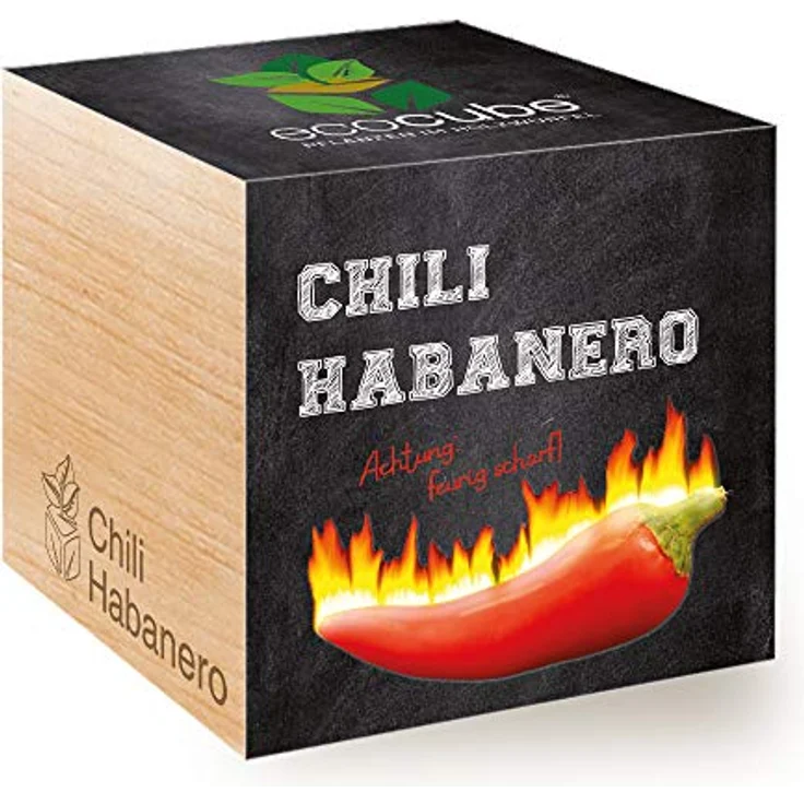 Feel Green Ecocube Chili Habanero, Anzuchtset im Holzwürfel 7.5 cm, feurig scharf, 100% eco-friendly, Made in Austria – Bild 1