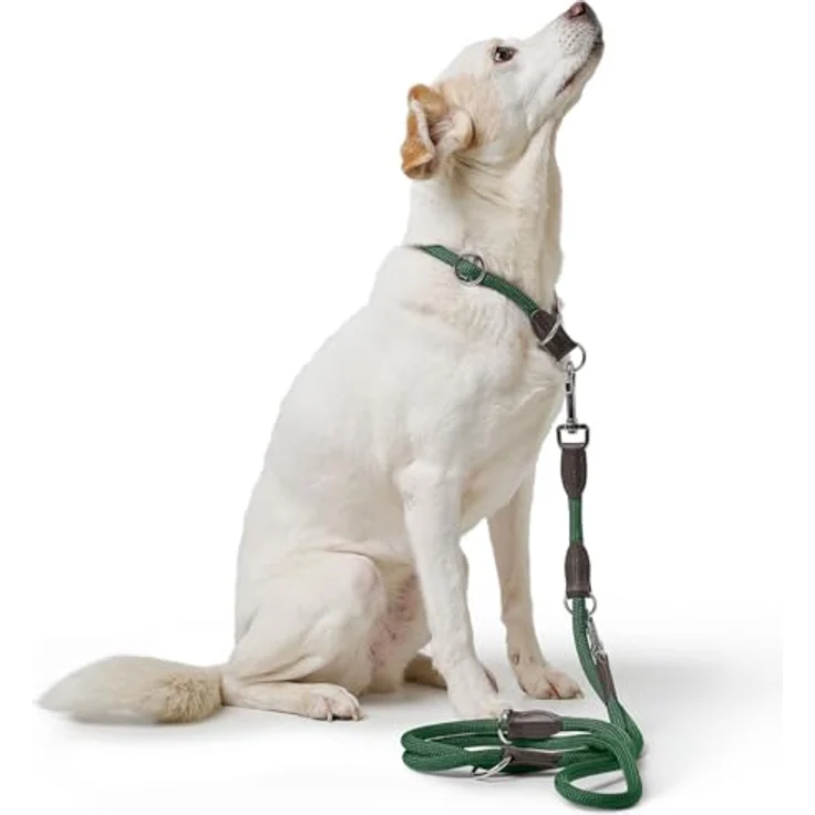 HUNTER Verstellbare Führleine Freestyle (dunkelgrün, 08/200) - Strapazierfähiges Polyamid, 3-fache Verstellmöglichkeit, Kappen aus Leder, pflegeleicht – Bild 3