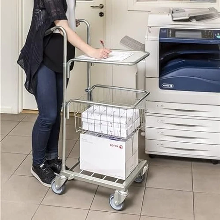 Oswald Mini-Transportwagen, 660 x 385 x 1.090 mm, mit Korb und Boden, Traglast 35 kg, verzinkt – Bild 2