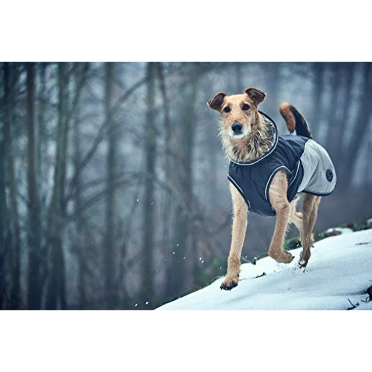 HUNTER UPPSALA COZY Hundemantel, Wintermantel, wasserabweisend, reflektierend, 35, anthrazit/grau – Bild 5