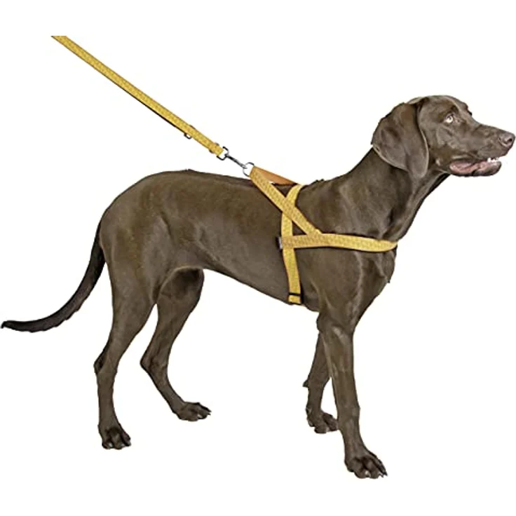 Kerbl 81060 Norweger Geschirr reflektierend 25mmx70-90cm, 0.155 kg – Bild 2