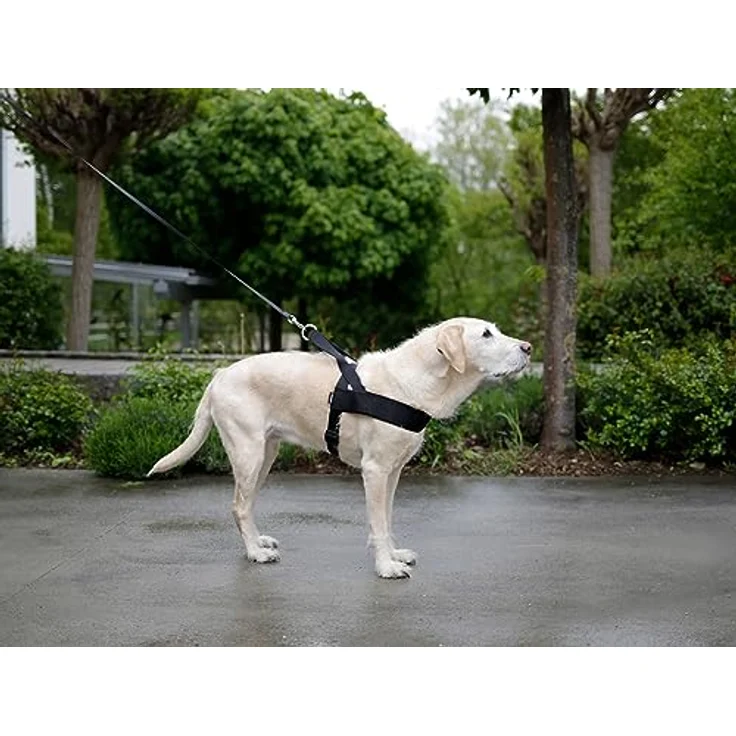 Kerbl MIAMI PLUS Geschirr, 60-75cm verstellbar, stabiles Nylongewebe, robuste Beschläge, schwarze Polsterung – Bild 5