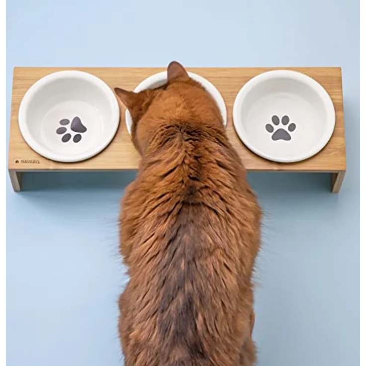 Navaris Futternapf Katze mit Bambus Halter - Futterstation Set Keramiknapf für Katzen Hunde - Keramik Fressnapf Set Futterbar mit Holz Halterung – Bild 4