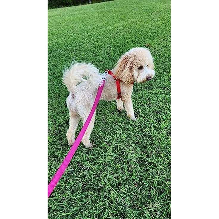 Flamingo Ziggi, Hundeleine 130cm aus strapazierfähigem Nylon, rosa, 20mm – Bild 2