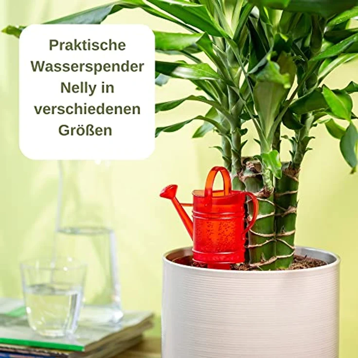 Scheurich Wasserspeicher 110 ml, Gießkanne für Innen und Außen mit wasserdurchlässigem Tonkegel – Bild 5