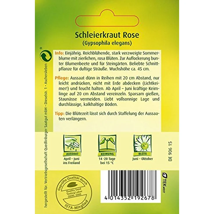 QUEDLINBURGER Schleierkraut, Rose – Bild 3