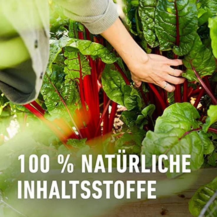 COMPO BIO Hochbeetaktivator, Bodenaktivator für ertragreiche Ernte, 100% natürliche Inhaltsstoffe, 500 ml – Bild 5