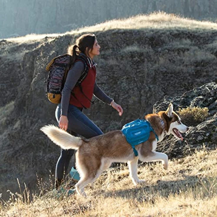 Kurgo RSG County Hundegeschirr, Verstellbare Nacken- und Brustgurte, Mit zwei Griffen und Schnellverschluss, Größe M, Blau – Bild 5