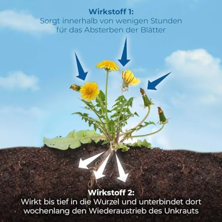 Protect Garden Permaclean Duo Unkraut & Wurzel-Ex 1l, Effektives Unkrautmittel mit zweifach Wirkung gegen alle Unkräuter, Glyphosatfrei – Bild 3