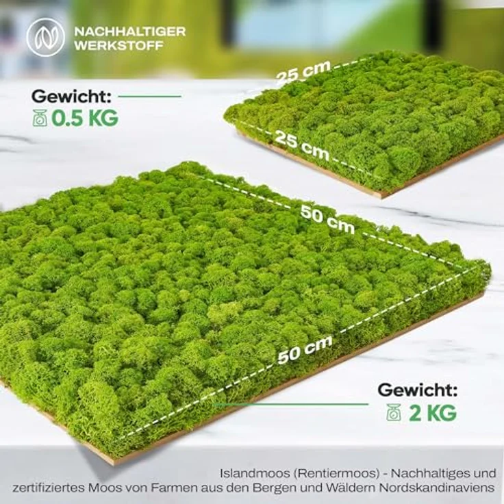 naturewalls Moospaneel - Mooswand DIY - Moosplatte aus echtem Islandmoos Pflanzenbild Premium 25x25cm, Küche - Preisvergleich – Bild 5
