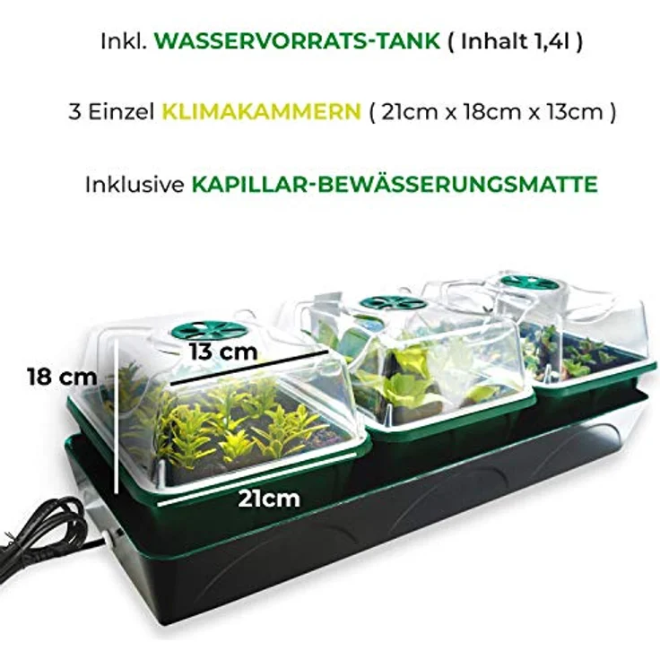 Bio Green Hollandia Anzucht-Set – Bild 3