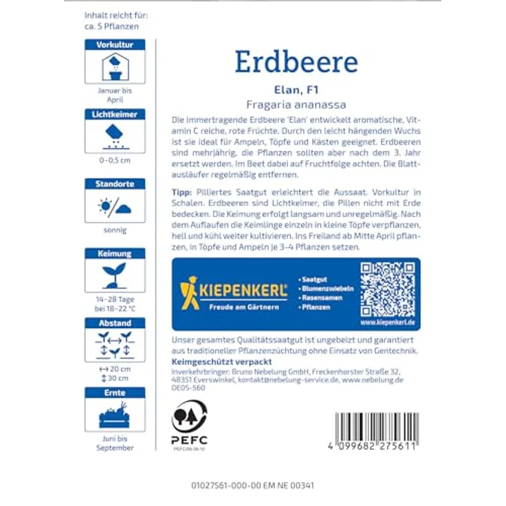 Kiepenkerl Profi-Line Obstsamen Erdbeere Elan, F1, immertragend mit aromatischen, roten Früchten, geeignet für Ampeln und Töpfe, Erntezeit: Mai – Bild 2