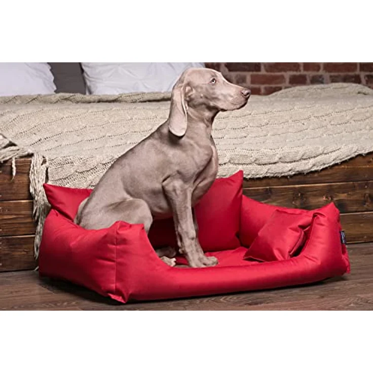 tierlando NEMO Hundebett Hundesofa Hundekorb Katzenbett Größe: N1 | Robustes Polyester 600D, lila – Bild 5