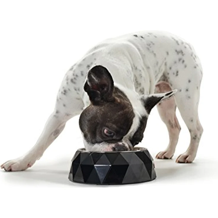 HUNTER KIMBERLEY Melamin-Napf, Futternapf, Trinknapf, für Hunde und Katzen, mit Edelstahlnapf, 700 ml, schwarz – Bild 2