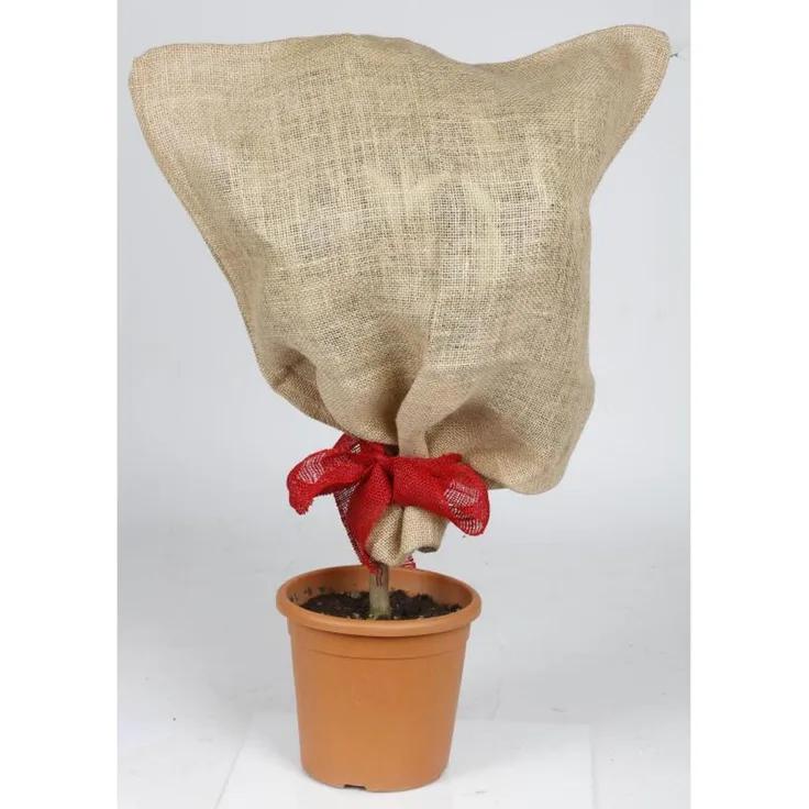 Jute-Schutzsack 57x78cm beige Natur Garten Überzug für Sträucher etc.