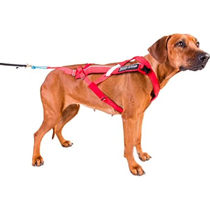 Non-stop dogwear Combined Harness (Hunde-Zuggeschirr) | geeignet für Skijöring und Pulka, schwarz – Bild 2
