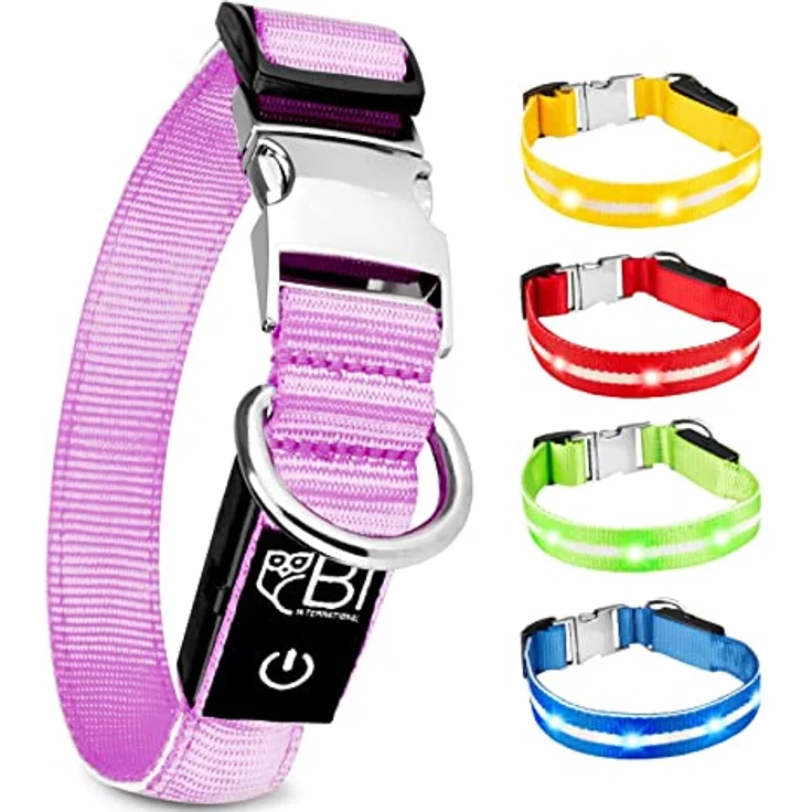 Leuchthalsband für Hunde [Das Original] Leuchtendes LED Hundehalsband zum spazieren gehen auch im Dunkeln- sehr Lange Akkulaufzeit – Sicher Dank hochwertigem Metallverschluss – Bild 1