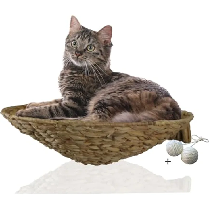 Rohrschneider ® runde Katzenmulde Katze Wandmontage | Katzenbett und Wandliege aus Wasserhyazinthe | Gemütlicher Katzenkorb für Wand | Katzen Wandelemente als platzsparendes Katzenmöbel | Wandliege