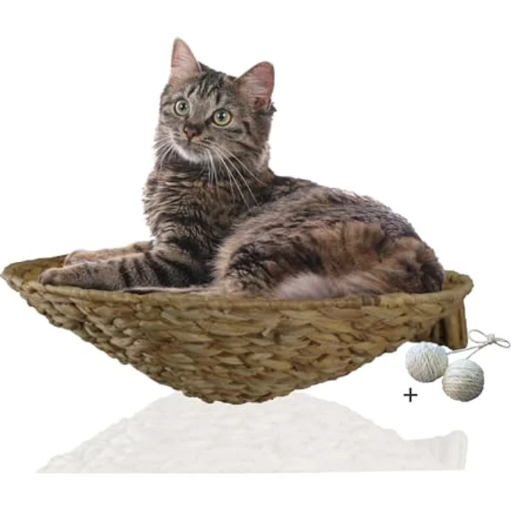 Rohrschneider ® runde Katzenmulde Katze Wandmontage | Katzenbett und Wandliege aus Wasserhyazinthe | Gemütlicher Katzenkorb für Wand | Katzen Wandelemente als platzsparendes Katzenmöbel | Wandliege – Bild 1