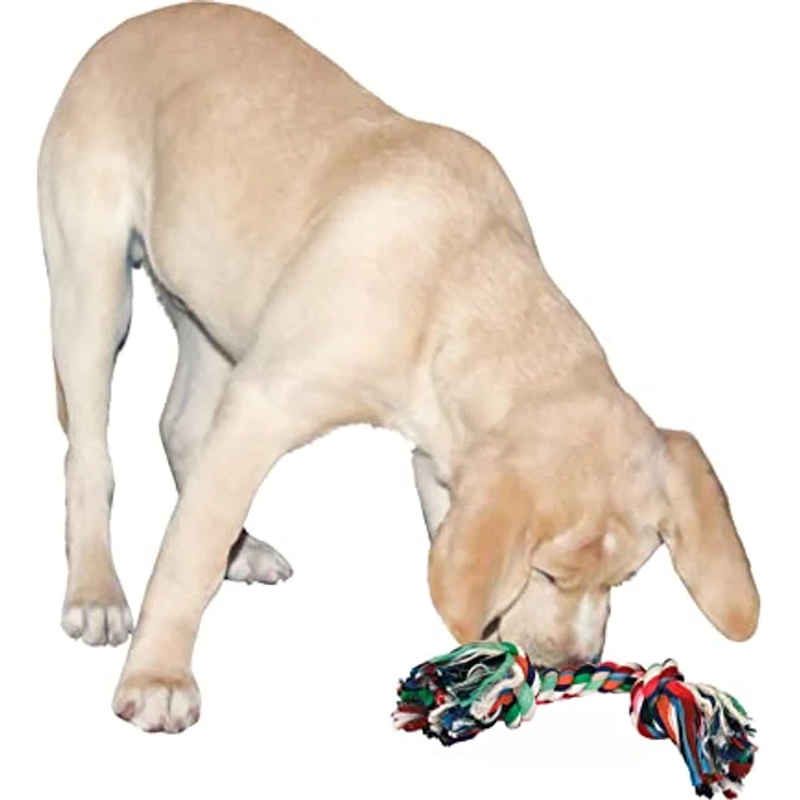 Zahnknoten aus Baumwolle, ca. 20 cm / ca. 60 g – Bild 2