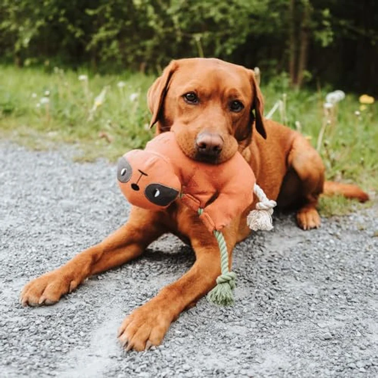 Hunter Tierbedarf Tierkuscheltier Hundespielzeug Rio Fledermaus mit Tau, recyceltes Material, robuste Verarbeitung, 25 cm – Bild 6