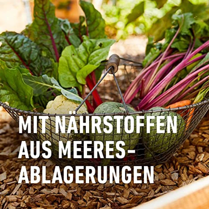 Compo BIO NaturDünger Guano 3 kg – Bild 6
